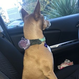 Meet your Posher, Jensen